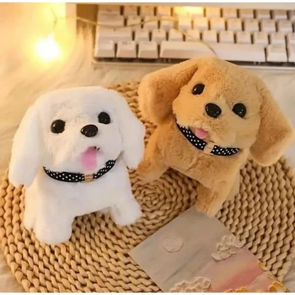Kids Toys