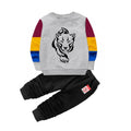 HamariDookan Boy's Casual Full Sleeve Printed Cotton T Shirt With Pant (Grey)