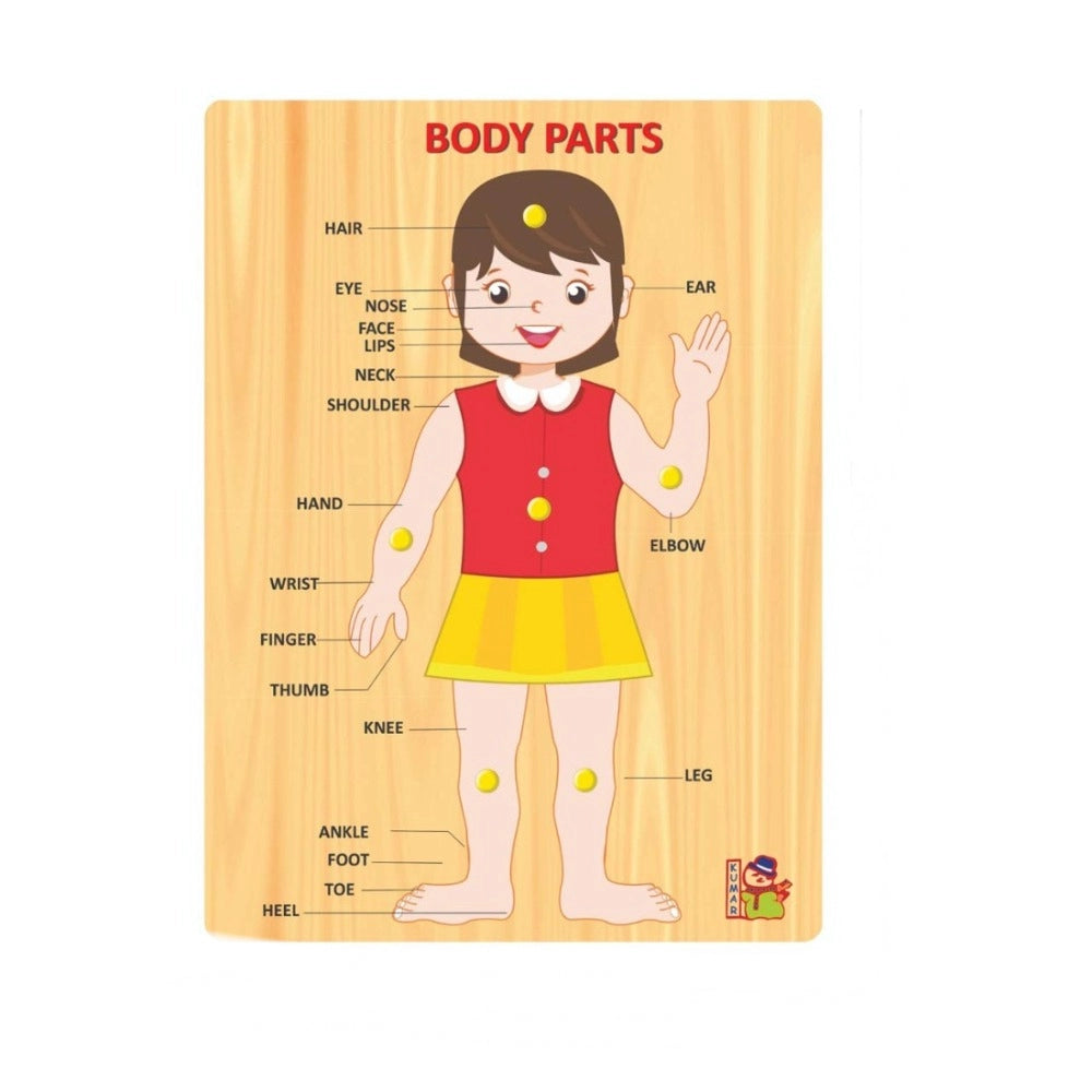 Body P Arts | Wood | Educational Toys | 3+ Years