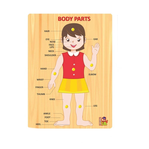 Body P Arts | Wood | Educational Toys | 3+ Years