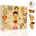 Wooden Puzzle - Body p Arts | Wood | Educational Toys | 3+ Years