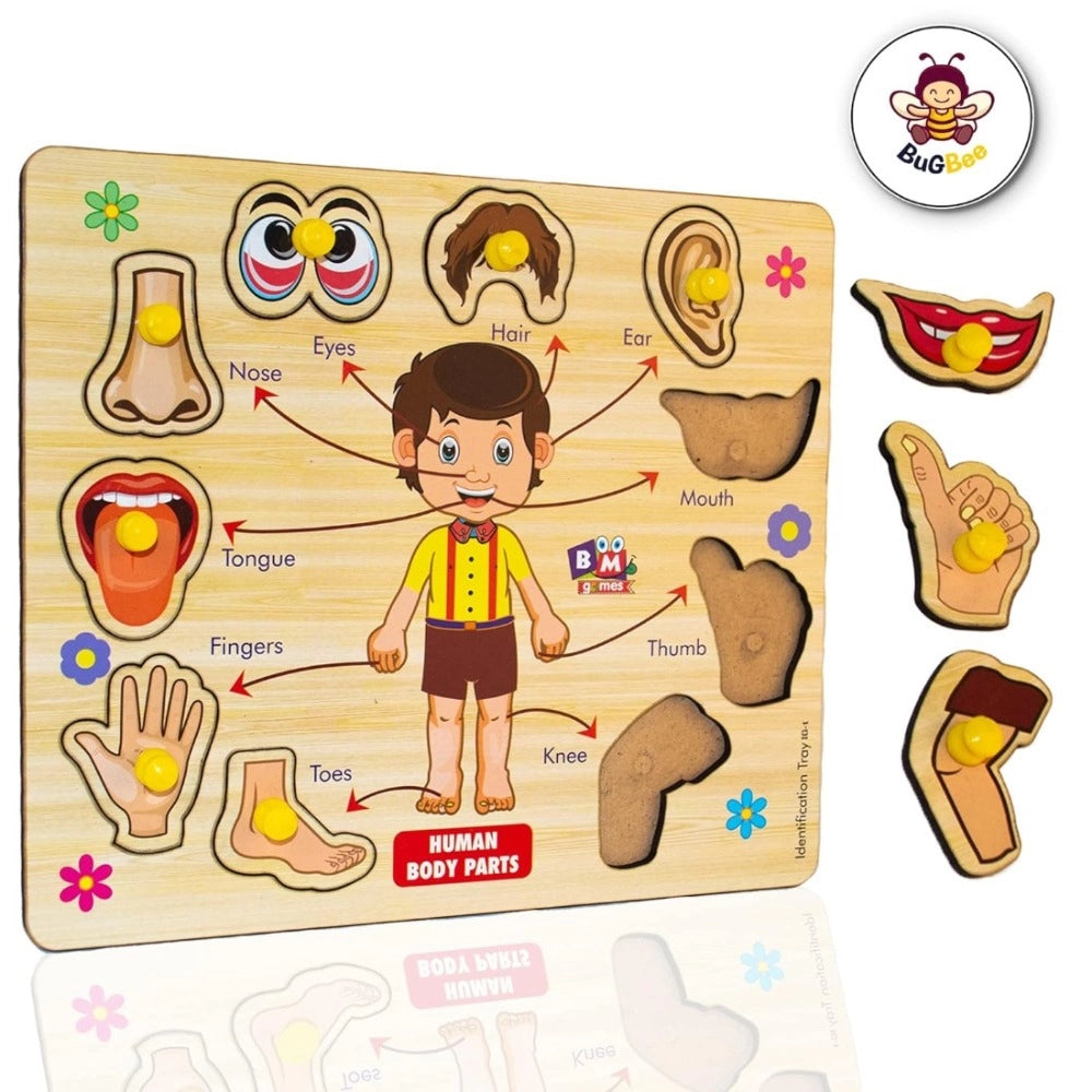 Wooden Puzzle - Body p Arts | Wood | Educational Toys | 3+ Years